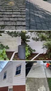 Penny Barker Pressure Washing (2)